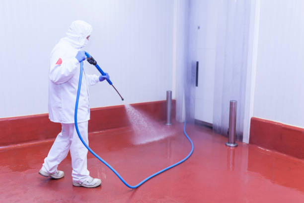 Boat and Dock Cleaning in Bellville, TX