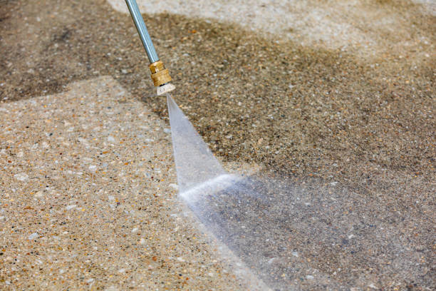 Best Roof Washing  in Bellville, TX